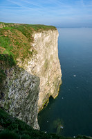 Bempton-109