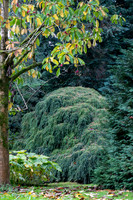 Batsford-2