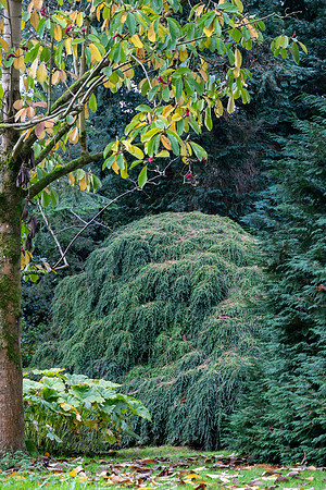 Batsford-2