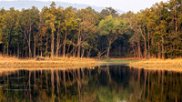 Lake Reflection