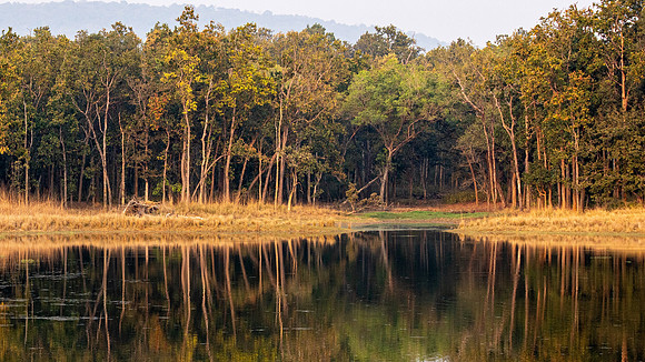 Lake Reflection