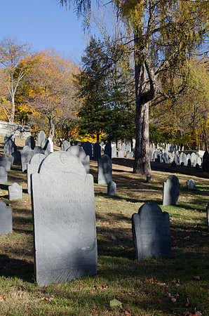 Cemetery -3