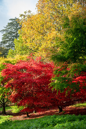 Batsford-18