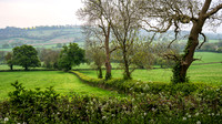 Stowe-19