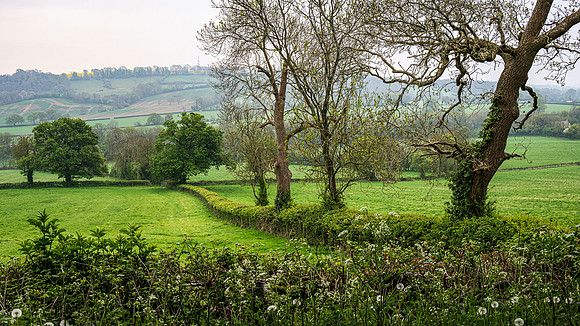 Stowe-19
