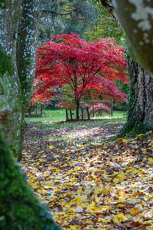 Batsford-25