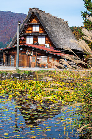 Shirakawa-go-24