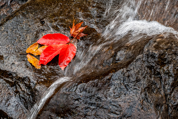 Utsue Forty Eight Waterfalls-13