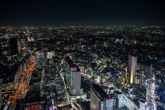View from Shibuya Sky Tower -2
