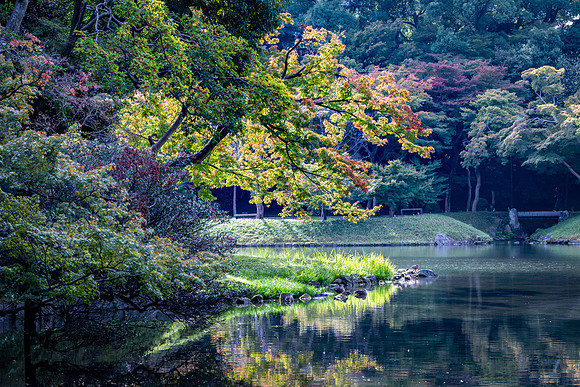 Koishikawa Korakuen Gardens  -12