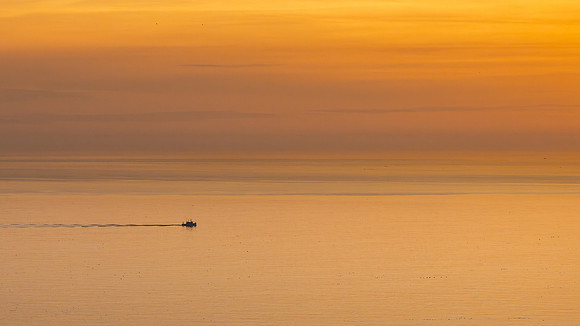 Bempton-95