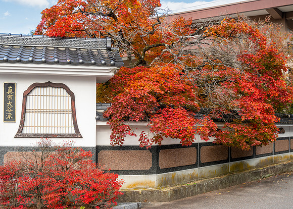 Takayama-14