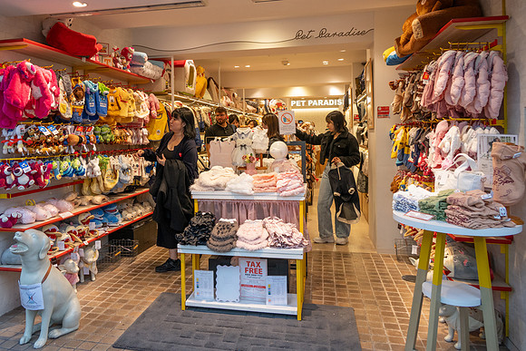 Takashita Street -3
