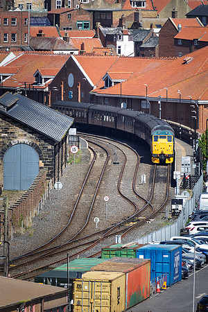 Whitby -5
