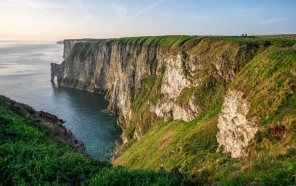 Bempton-166