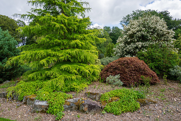 Threave Garden -7