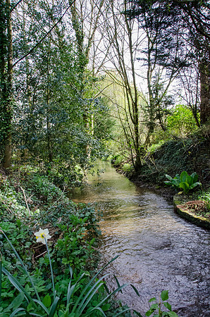 Mill Dene Garden - 4