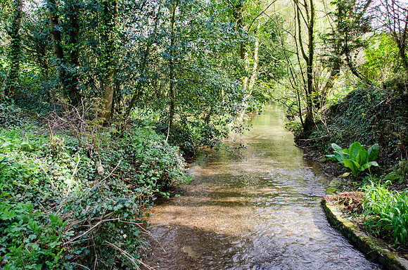 Mill Dene Garden - 5