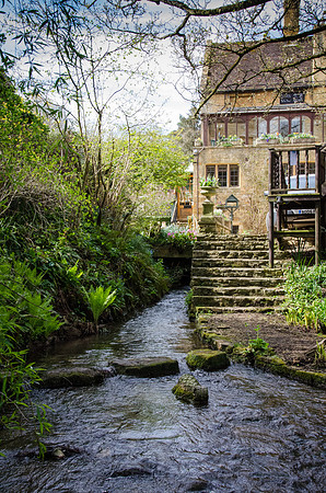 Mill Dene Garden - 6