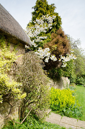 Chipping Campden - 12