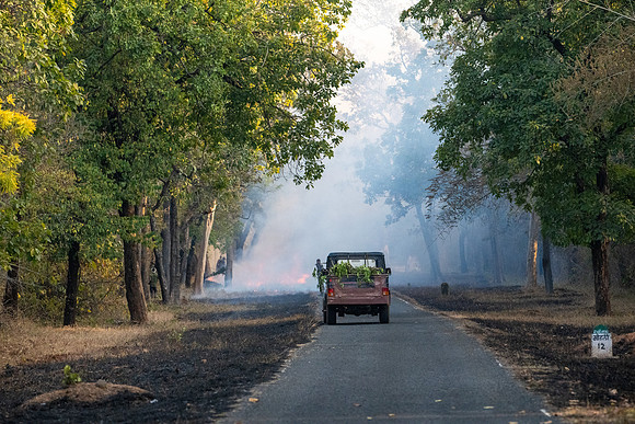 Managing Firebreak -1