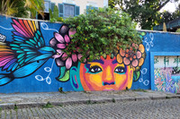 Brazil-10