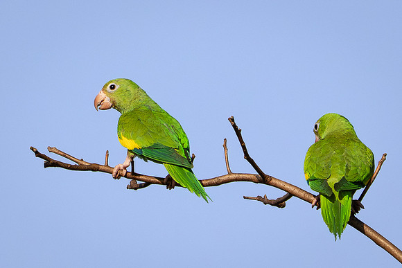 Brazil-156