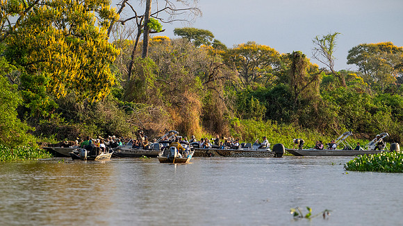 Brazil-296