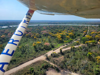 Pantanal South