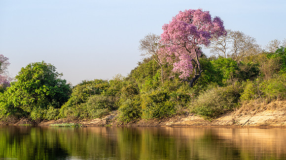 Brazil-413