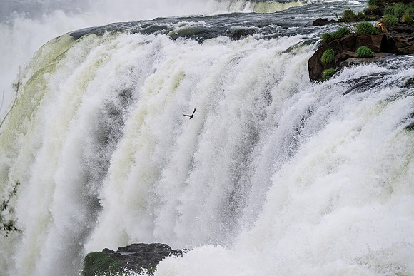 Iguazu Argentina Side -5