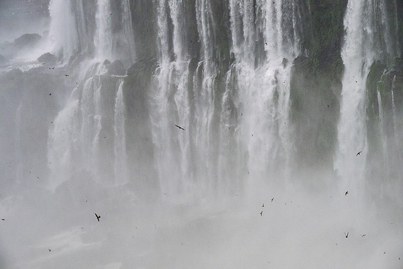 Iguazu Argentina Side -7