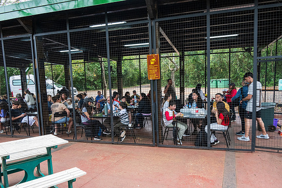 Humans in Cage Eating