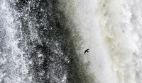 Iguazu Brazil Side -14
