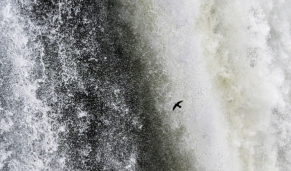 Iguazu Brazil Side -14