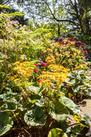 Wellington Botanical Gardens -3