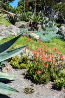 Wellington Botanical Gardens -5