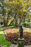 Wellington Botanical Gardens -9