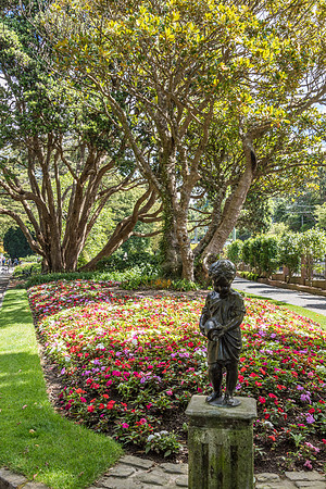 Wellington Botanical Gardens -9