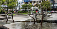 Wellington City -1