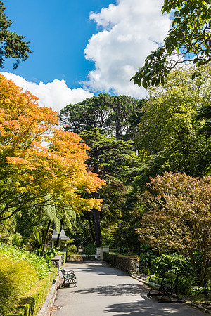 Wellington Botanical Gardens -7