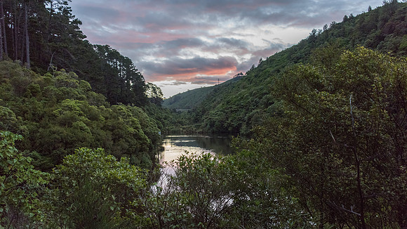 Zealandia -2