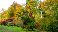 Bodenham Arboretum-15