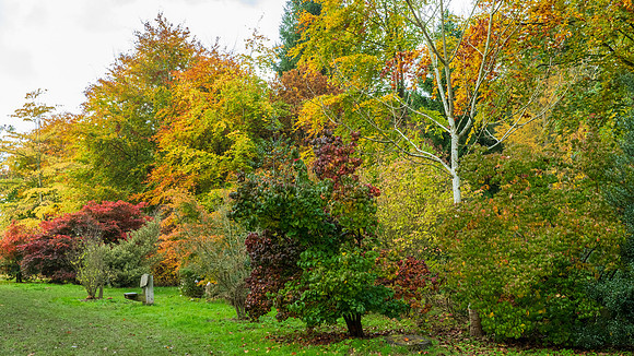 Bodenham Arboretum-15