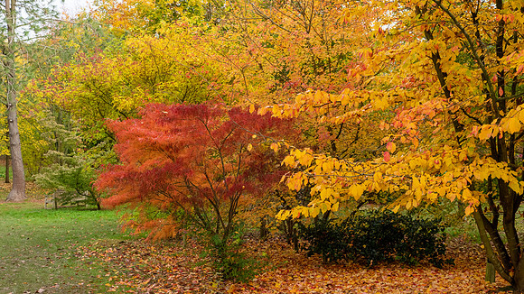 Bodenham Arboretum-16