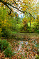 Bodenham Arboretum-11