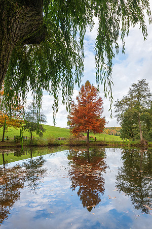Bodenham Arboretum-12