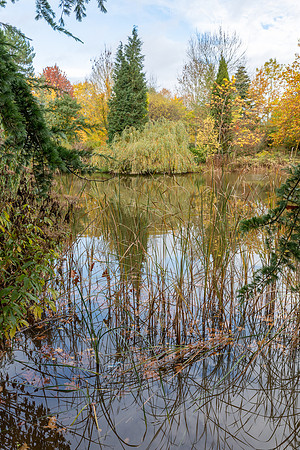 Bodenham Arboretum-22