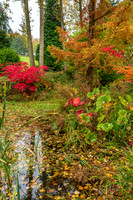 Bodenham Arboretum-3