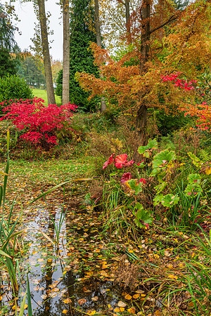 Bodenham Arboretum-3